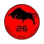 Eskişehir 26 Gençlik Spor