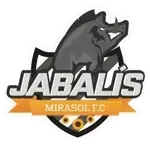 Jabalis Mirasol