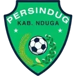 Persindug