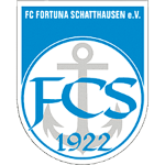 SpG Schatthausen 1/Baiertal 2