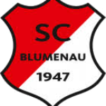 SC Blumenau
