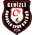 Cevizli Anadolu SK U16