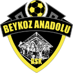 Beykoz Anadolu Spor U16