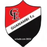 Guanambi de Piracicaba