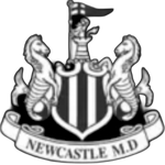 Newcastle de Piracicaba