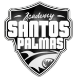 Academy Santos U13