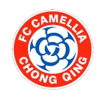 Chongqing Dikai