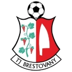 TJ Družstevník Brestovany