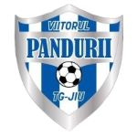 ACS Viitorul Pandurii U11