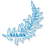Salos Szczecin U17