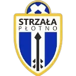 Strzała Płotno