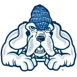 John Jay Bloodhounds