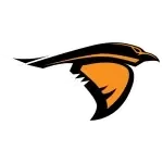 Anderson Ravens