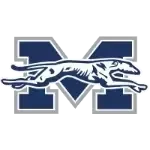 Moravian Greyhounds
