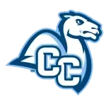 Connecticut Camels