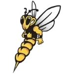 Wisconsin-Superior Yellowjackets