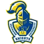Neumann Knights