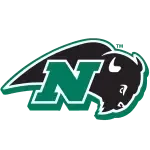 Nichols Bison