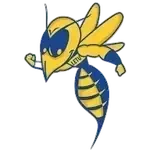 LeTourneau Yellowjackets