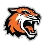 Rochester Institute Tigers