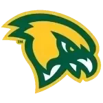 Fitchburg Falcons