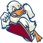 Stevens Tech Ducks