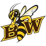 Baldwin Wallace Yellow Jackets