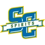 Salem Spirits