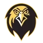 Pfeiffer Falcons