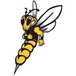Wisconsin-Superior Yellowjackets