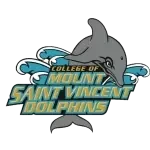 Mount Saint Vincent Dolphins