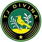 Tj Divina