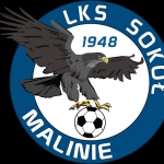Sokół Malinie