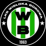 Wisłoka Borowa
