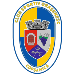 CS Orasenesc Copșa Mică U19