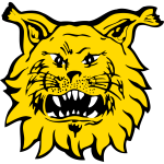 Ilves U20