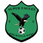 Super Eagles