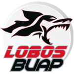 Lobos Prepa