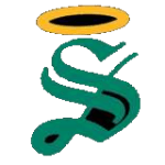 Santos Laguna Premier