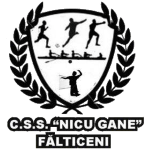 CN Nicu Gane Fălticeni
