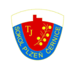 Cernice