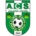 ACS Bradu Borca