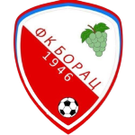 FK Borac Vizić