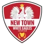 New Town Eagles FC 2