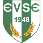 Enying VSE