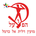 Hapoel Dalit El Carmel