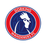 Dorking Wanderers FC Ladies