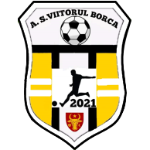 AS Viitorul Borca