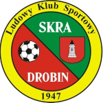 Skra Drobin