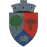 AS VHP Pădureni
